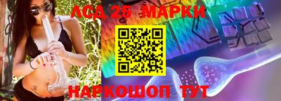 спиды Кимры