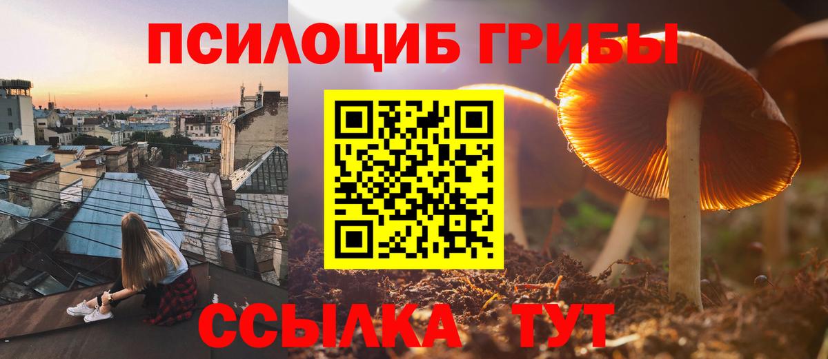 Псилоцибиновые грибы Magic Shrooms  Вход с VPN  Калач-на-Дону  Галлюциногенные грибы Psilocybine cubensis 